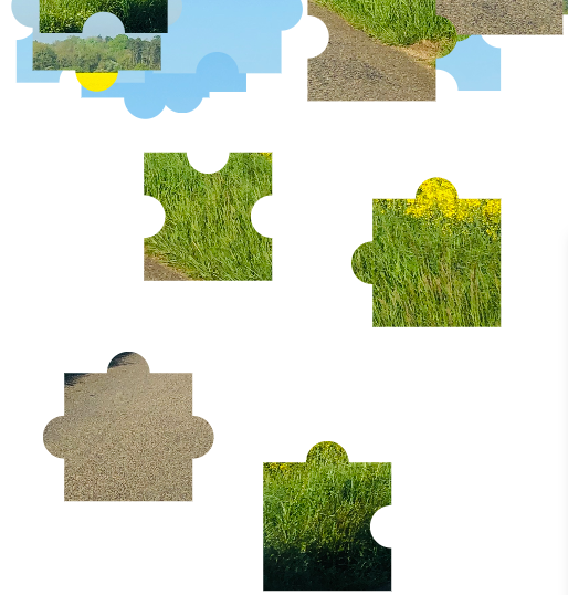 A screenshot of the page