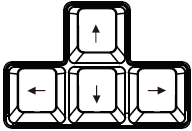 The arrow keys on a keyboard