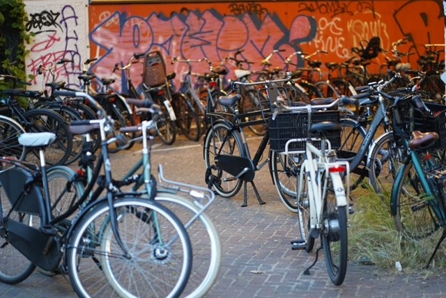 Bikes, bikes, and more bikes.