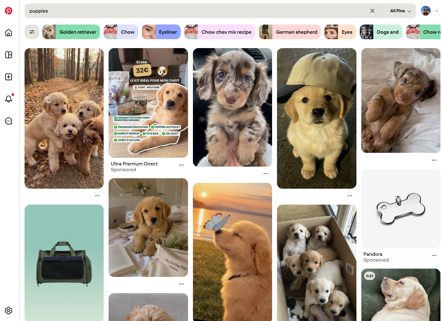 Pinterest home page with puppies, in a masonry layout.